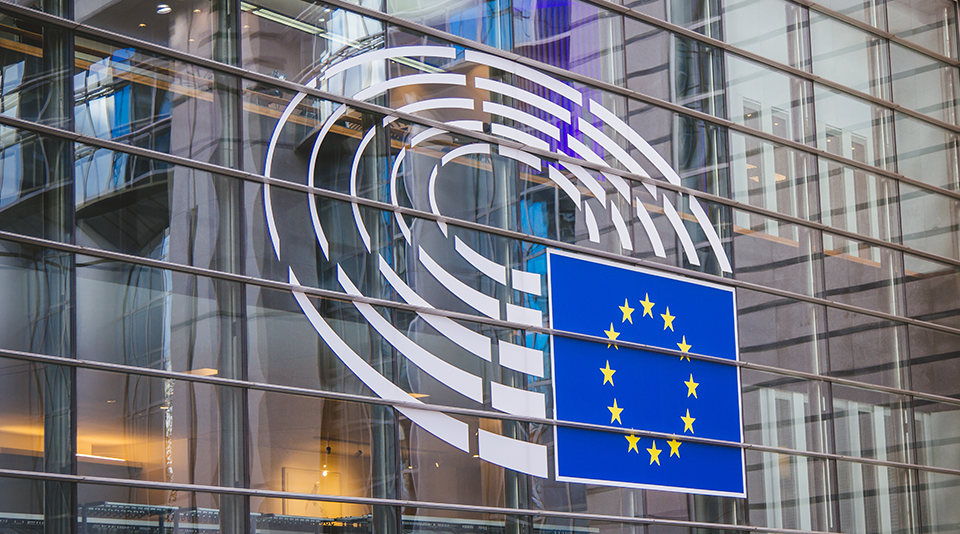 Evropski parlament podprl podaljšanje prehodnega obdobja